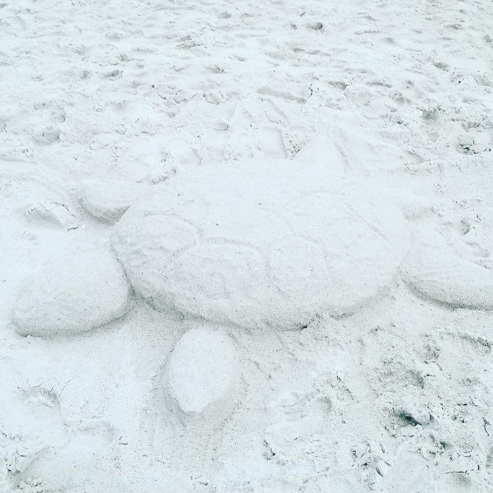 Meet your Posher, Rachel mae